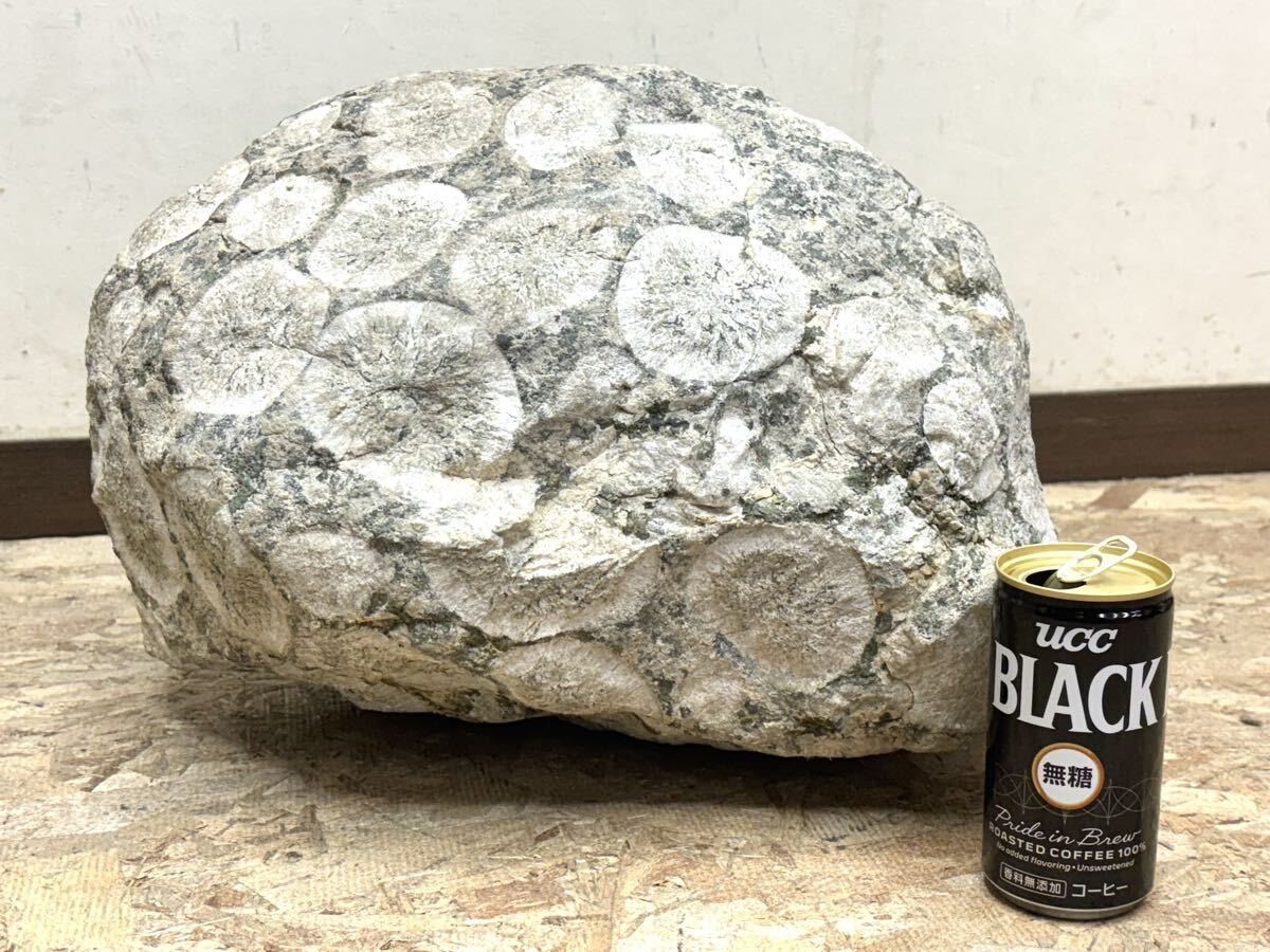 ナポレオン石の値段と価格推移は？｜2件の売買データからナポレオン石