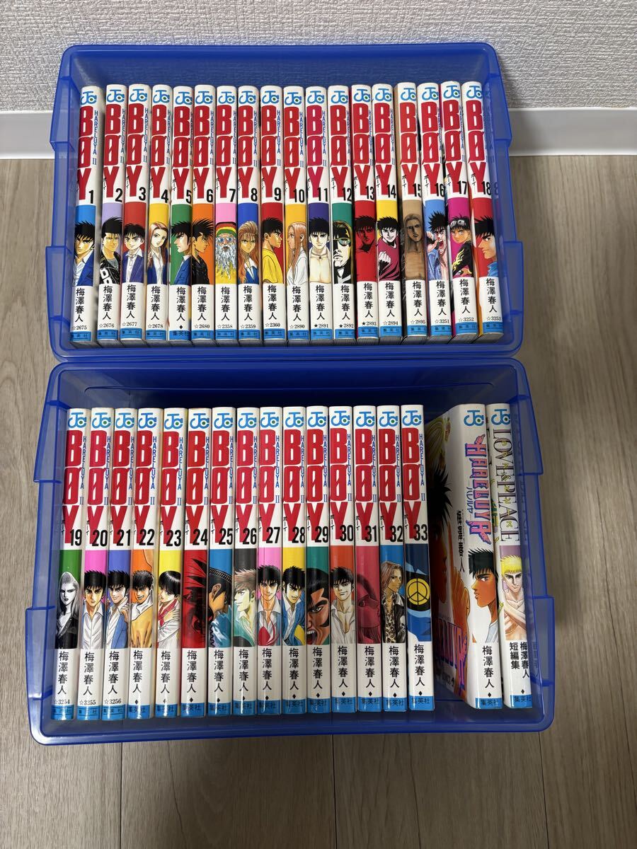 HARELUYA BOYの値段と価格推移は？｜1件の売買データからHARELUYA BOY