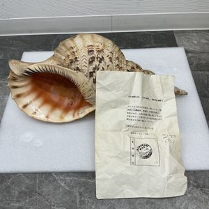 特大 ホラ貝 法螺貝 螺貝 ラッパ 山伏 雅楽 和楽器 古玩 旧家 蔵出 骨董品 三島屋楽器店 法螺貝（ホラ貝） 特大 (約43センチ） 唄口付NO.44011
