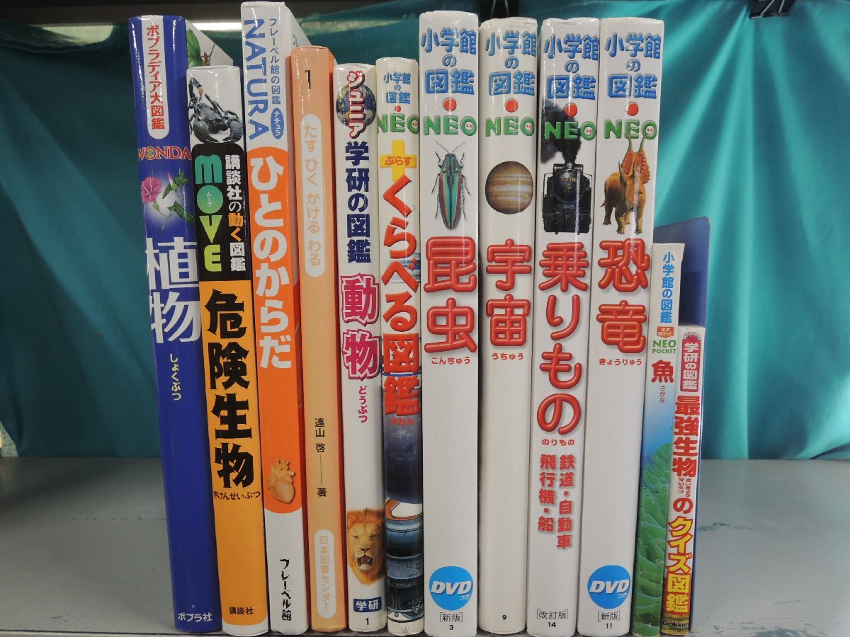 MOVE 図鑑の値段と価格推移は？｜42件の売買データからMOVE 図鑑の価値