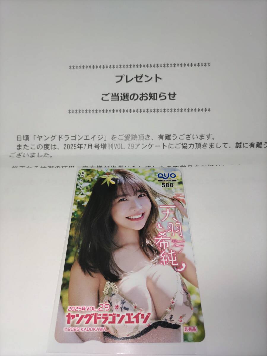 送料無料】ヤングドラゴンエイジ 2025年 vol.29 抽プレ 当選品 天羽希