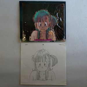 ドラゴンボール ブルマ セル画の値段と価格推移は？｜2件の売買データ