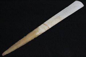 カジキ 角の値段と価格推移は？｜6件の売買データからカジキ 角の価値
