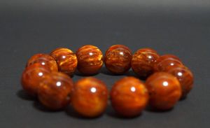 海松 珊瑚の値段と価格推移は？｜31件の売買データから海松 珊瑚の価値