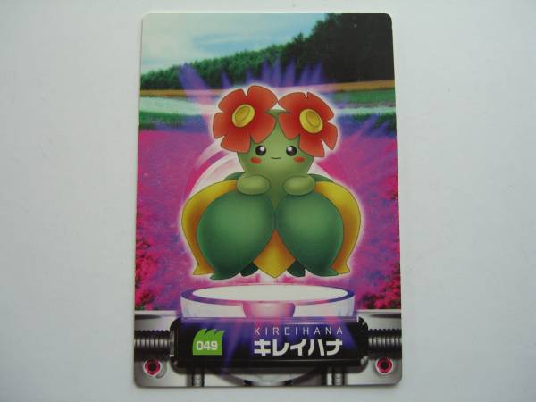ポケモン ずかん カード カードダス キレイハナ その他 売買されたオークション情報 Yahooの商品情報をアーカイブ公開 オークファン Aucfan Com ポケモン ずかん カード カードダス キレイハナ その他 売買されたオークション情報 Yahooの商品情報をアーカイブ公開 オークファン Aucfan Com