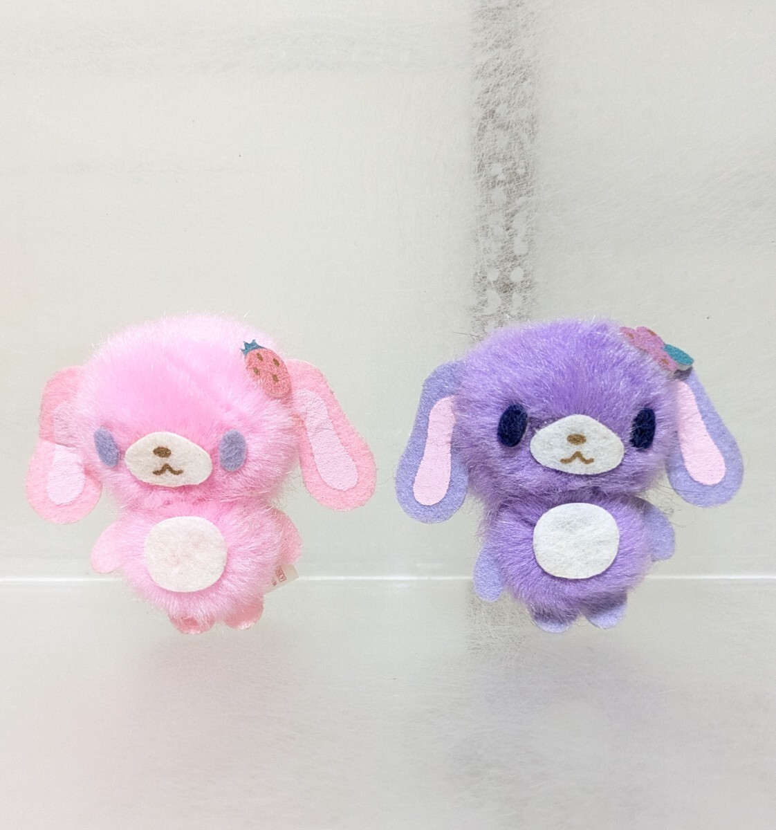 シュガーバニーズ2007の値段と価格推移は？｜1件の売買データから