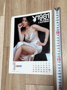 浅野 カレンダー ゆう子の値段と価格推移は？｜8件の売買データから