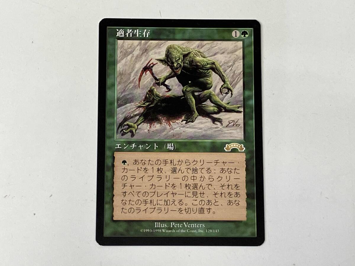 MTG適者生存の値段と価格推移は？｜2件の売買データからMTG適者生存の
