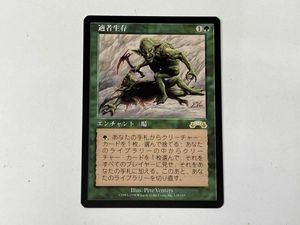 MTG適者生存の値段と価格推移は？｜2件の売買データからMTG適者生存の