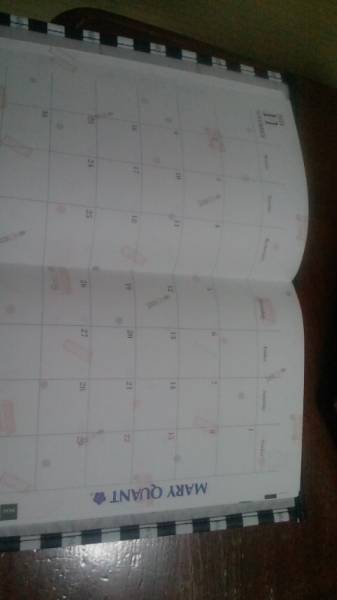 MARY QUANTシステム手帳2015_2