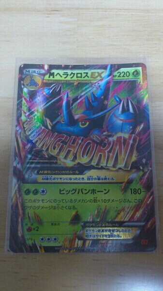 ●MヘラクロスEX(RR)●_1