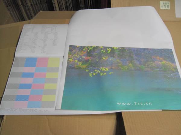 EPSON/エプソン　Ｂ0対応大判プロッター 【PX-9500】 (1)