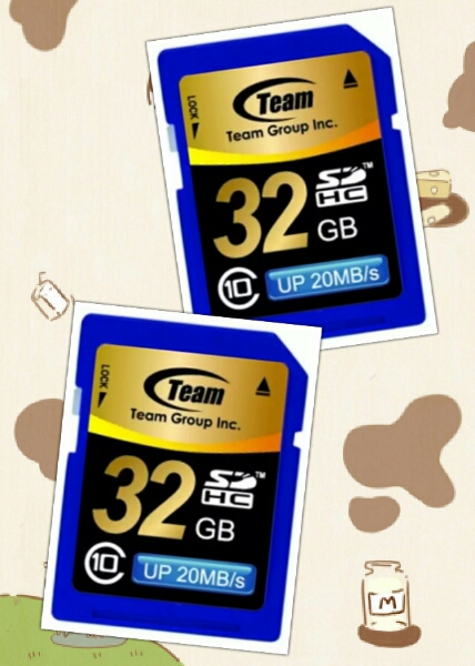 10年保証 クラス Class10 32gb SDHCカード SD 送料90円 2枚計64g