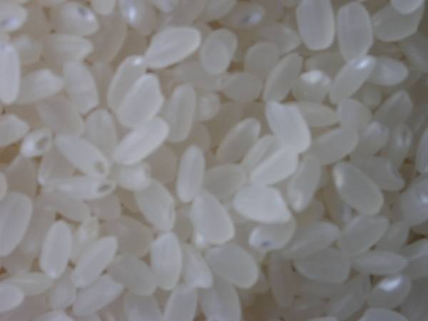 【送料込み】播州米２6年産ヒノヒカリ白米２０ｋｇ 自家用