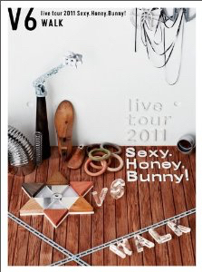 送料無料◆V6◆Sexy Honey Bunny! 2011◆DVD初回WALK盤 岡田准一