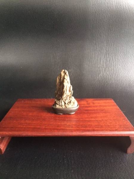 【滝石】 小品盆栽 水石