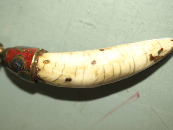 希少！特大狼牙　ペンダントトップ装飾品魔よけ風水