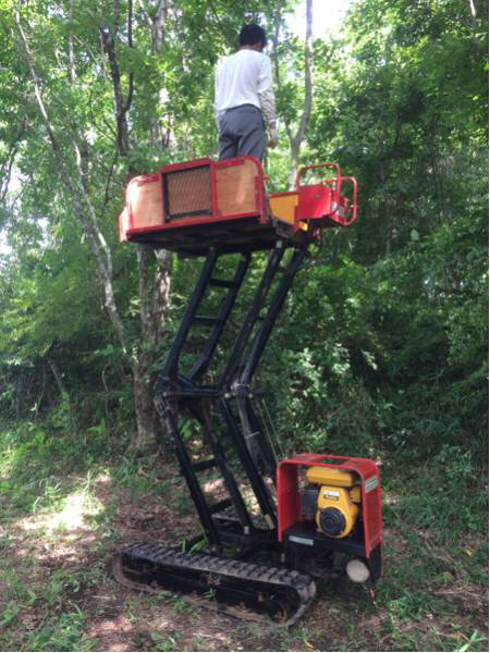 ノザワ フルーツワーカー 高所作業車 クローラー 運搬車 2.5m(運搬車