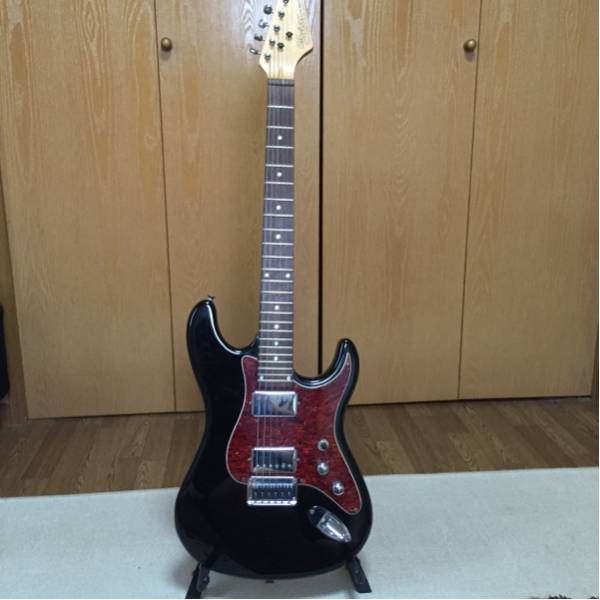 Bacchus バッカス ギターGLAY hisashi(GLAY)｜売買されたオークション