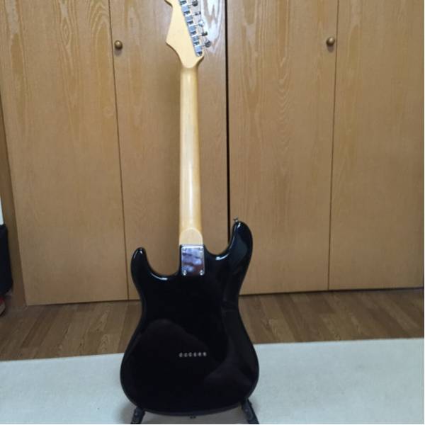 Bacchus バッカス ギターGLAY hisashi(GLAY)｜売買されたオークション