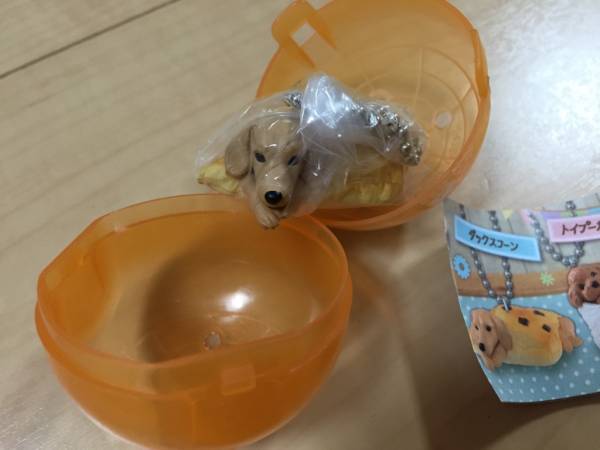 いぬぱん９ ダックスコーン　アニコラ 犬ガチャ_1
