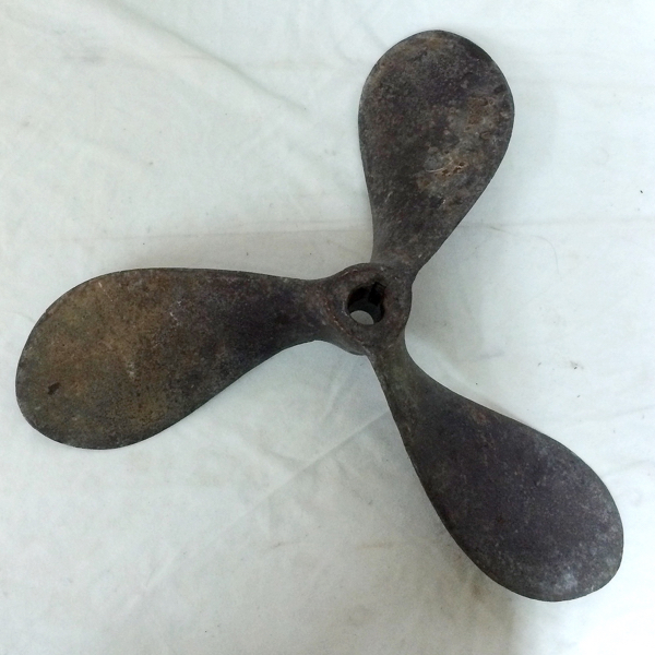 w174244651.2