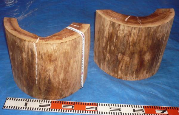 ★脚材に２個組★自然木 脚材に加工済み【1-531】老欅２個組★