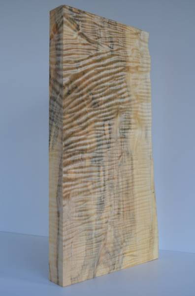 トチ★とち★栃★縮杢★スポルテッド★27ミリ★送料164円★5