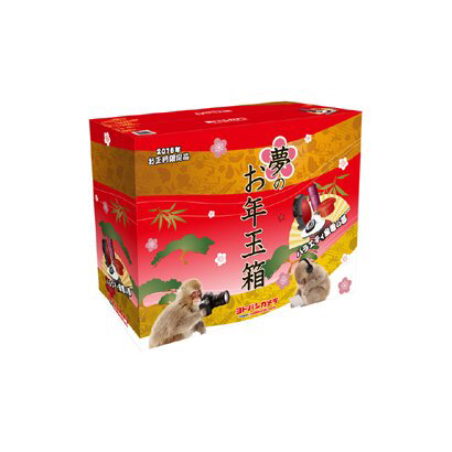 ヨドバシカメラ 福箱 福袋 2016バラエティ家電の夢 1