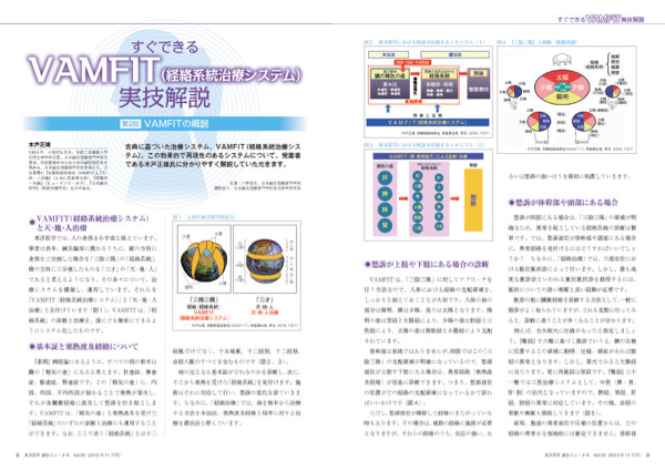 変動経絡治療システム 新版 経絡系統治療システム〈VAMFIT〉 ―だれでも 