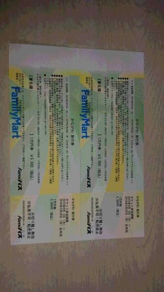 かながわ旅行券　２万円分