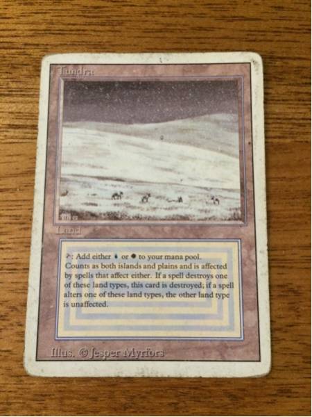 MTG Tundra 英語　リバイズド Tundra リバイズド Tundra》[3ED] MTG⁄3ED⁄Tundra⁄英 Initiative MTG