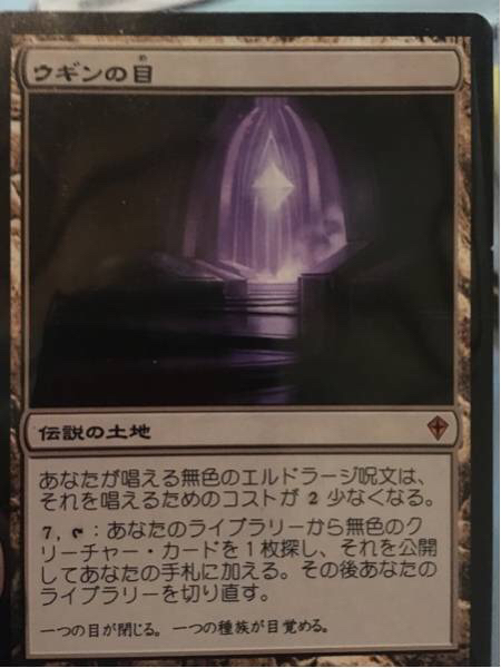 ウギンの目 WWK ワールドウェイク 日本語 1円スタート