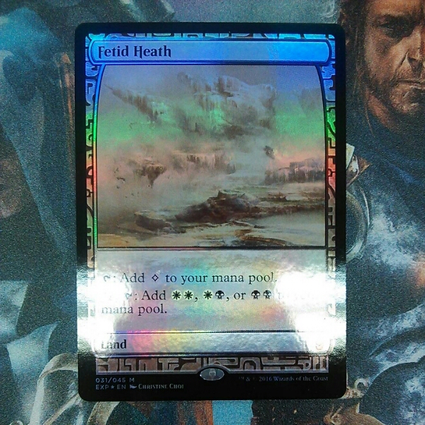 Fetid ⁄ 悪臭の荒野 Heath MTG Heath《英語》A25 岡本桂多のKill them