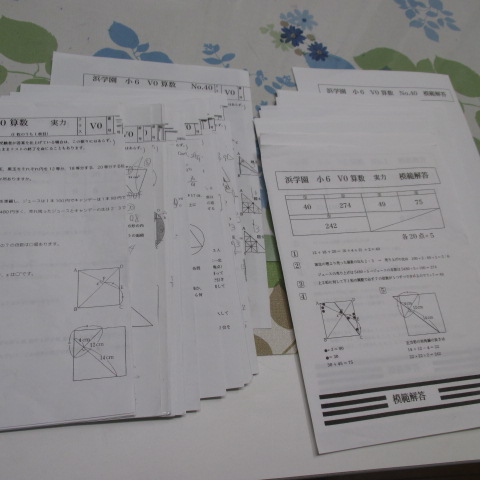 浜学園 小6 算数 V0 復習テスト 2015年実力＋24回分 _st ,xvpbvx