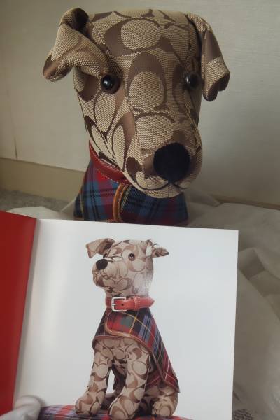 【送料無料】COACH コーチ DOG 犬 ぬいぐるみ 貴重パンフ付き