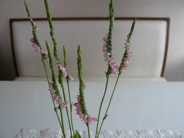 ★ハンドメイド　樹脂粘土　山野草～ネジバナ～★