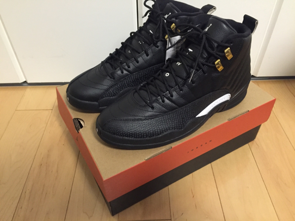 新品 NIKE AIR JORDAN 10 chicago 28センチ