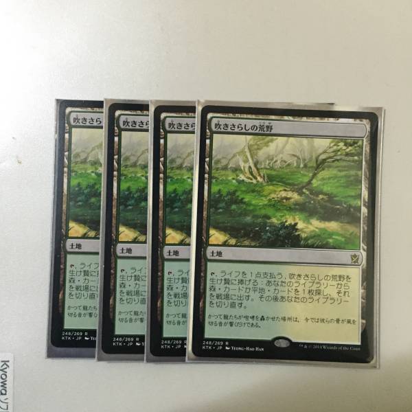 吹きさらしの荒野 4枚セット MTG MTG 吹きさらしの荒野 4枚セット mtg 【公式通販】