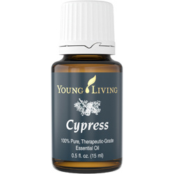 新品サイプレス15mlヤングリヴィングリビング送料120円～