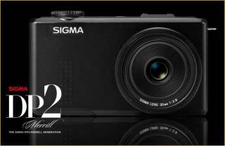 新品 DP2 Merrill メリル