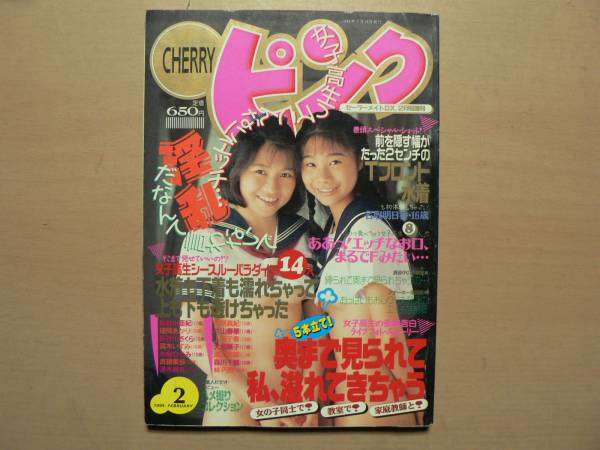 CHERRYピンク/1994年2月 セーラーメイトDX増刊(アイドル、芸能人