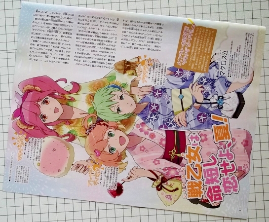 ポスター 1枚 BLEACH マクロスΔ アニメディア8月号 付録 デルタ_3