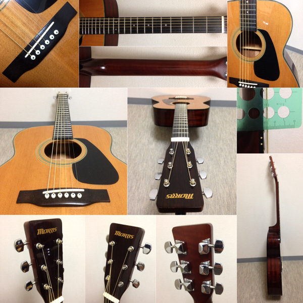 ビヒン】Morris MF-201N アコースティックギター-guitar モーリス