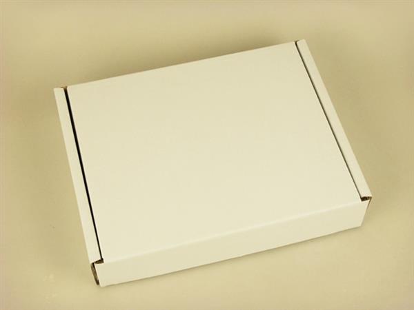 1円～ アレー 家庭用電子水生成器 AREE333 スティック型 未使用 電子水