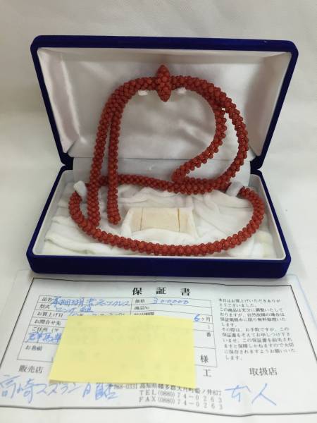 天然本珊瑚】希少高知県産 赤珊瑚 コーラル ループネックレス 岩手県の 赤