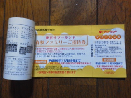 東京サマーランド 株主優待フリーパス８枚セット　送料無料！