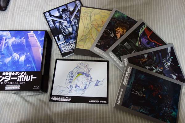 機動戦士ガンダム サンダーボルト DECEMBER SKY 初回 パンフ付き