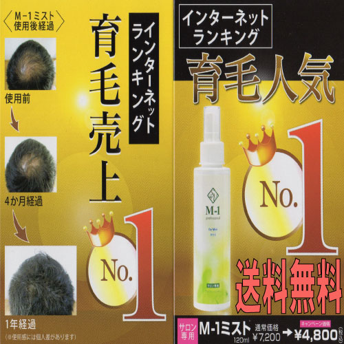 かんたん取り引き】育毛剤・M1ミスト・120ml×1本・送料無料！