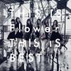 即決 初回仕様盤 Flower THIS IS Flower THIS IS BEST 2CD+2DVD
